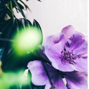 Meet your Posher, Connie